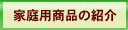 �ƒ�p���i�̏Љ�